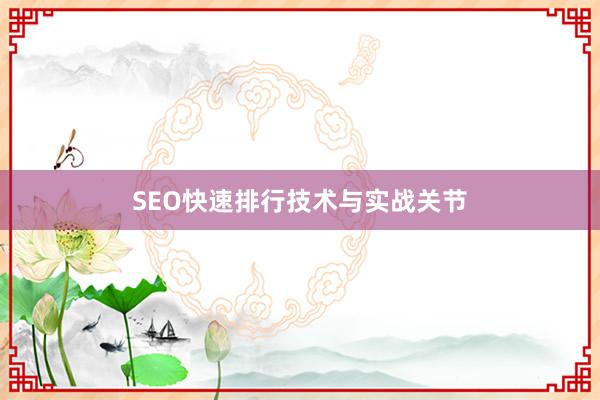 SEO快速排行技术与实战关节