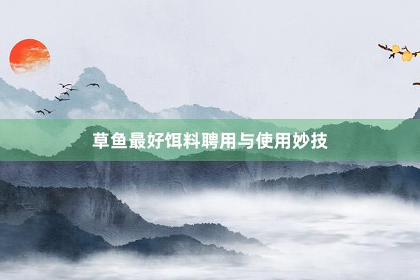 草鱼最好饵料聘用与使用妙技